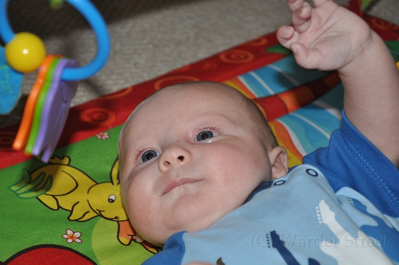 William's Tenth Week 22.jpg